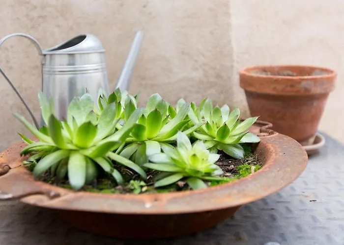 Abuela Reme 乡村民宿 *